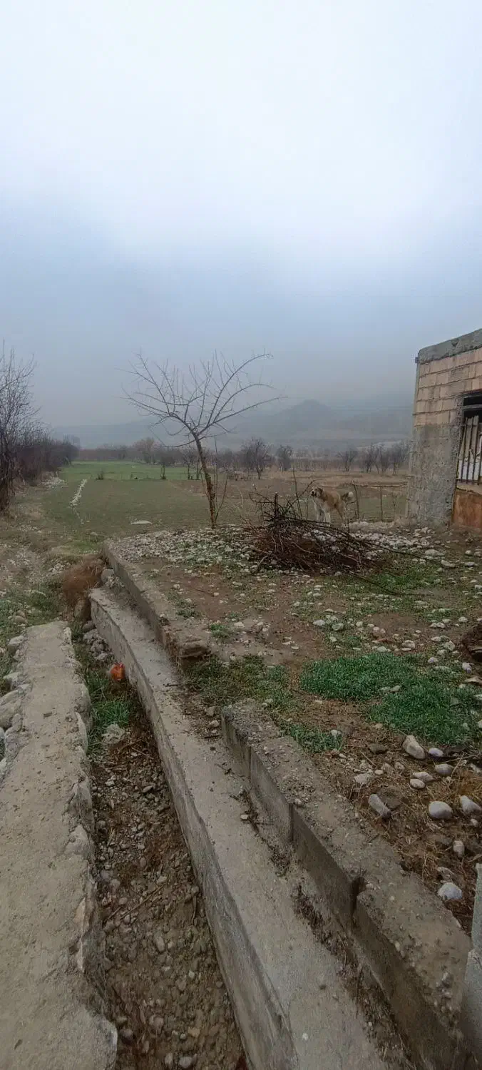 خانه فروشی فوری فوری|فروش خانه و ویلا|درگز, |دیوار