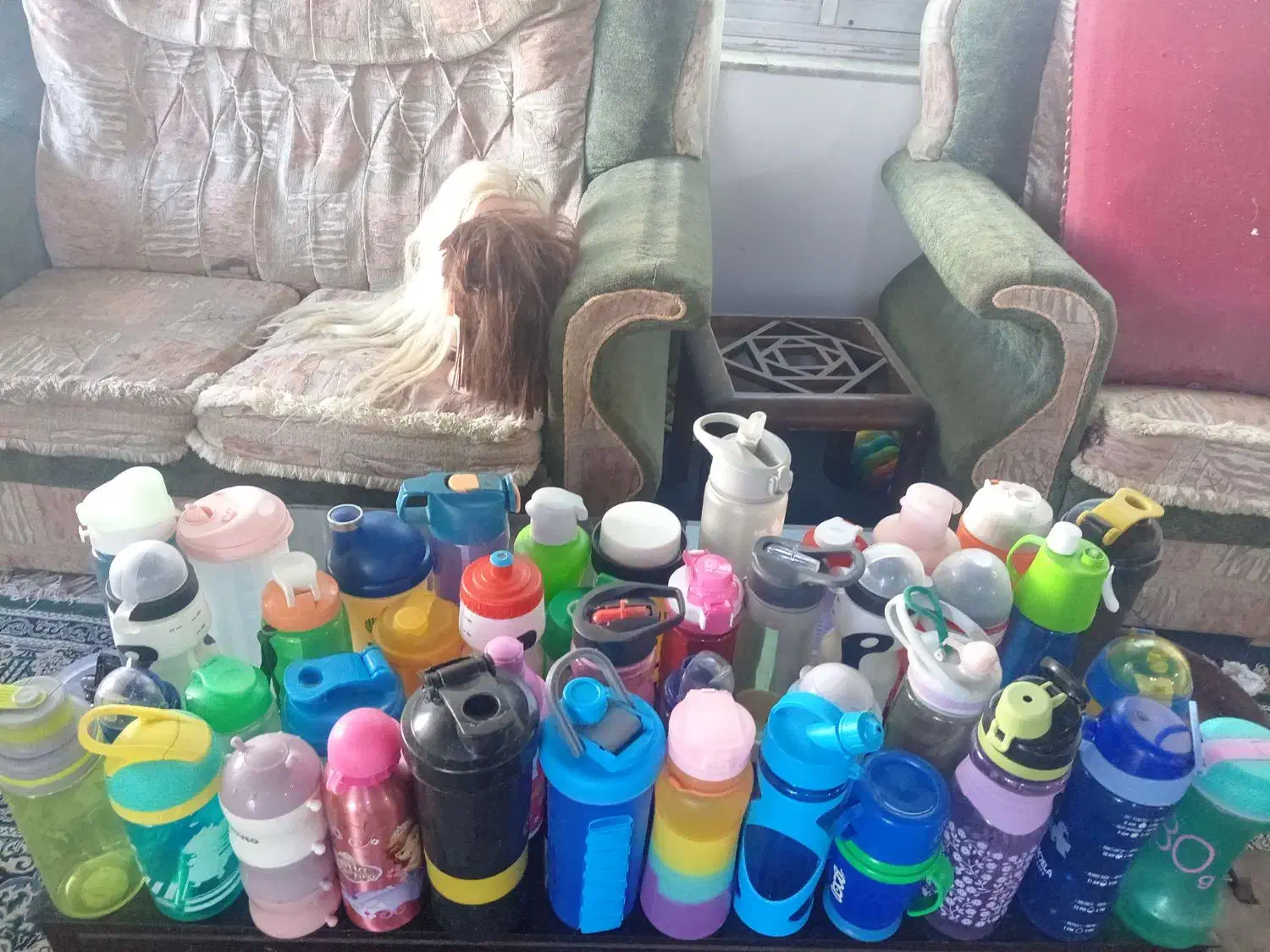 تعداد 43 قمقمه|ظروف نگهدارنده، پلاستیکی، یک‌بارمصرف|نوشهر, |دیوار