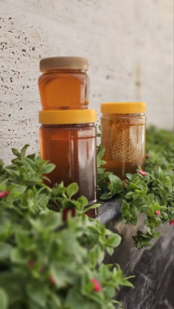 عسل کوهی با ساکاراز زیر( 3درصد)|خوردنی و آشامیدنی|رشت, شهرک صنعتی|دیوار