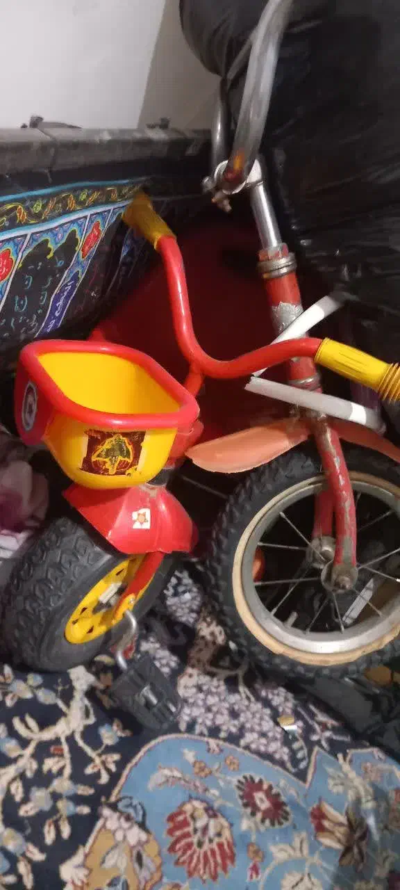 دوچرخه سه چرخ و دوچرخه ۱۲|دوچرخه، اسکیت، اسکوتر|بیرجند, |دیوار