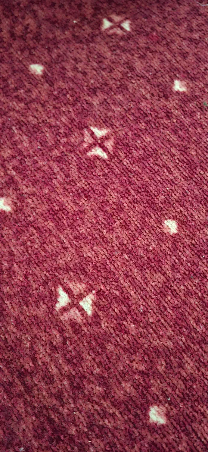 موکت|موکت|مشهد, امام رضا (ع)|دیوار