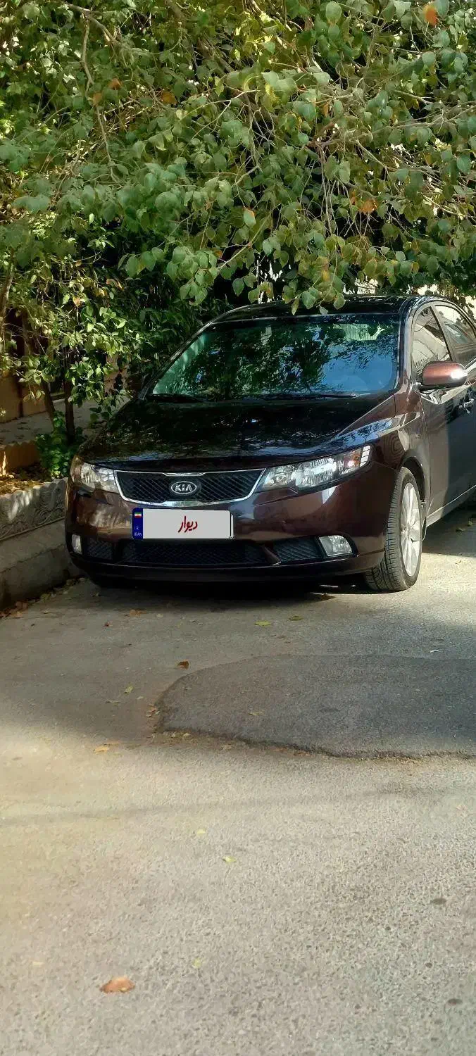 سراتو ۲۰۱۱ وارداتی فول بکر معاوضه با ماکسیما  کمری|خودرو سواری و وانت|شیراز, شیمی گیاه|دیوار