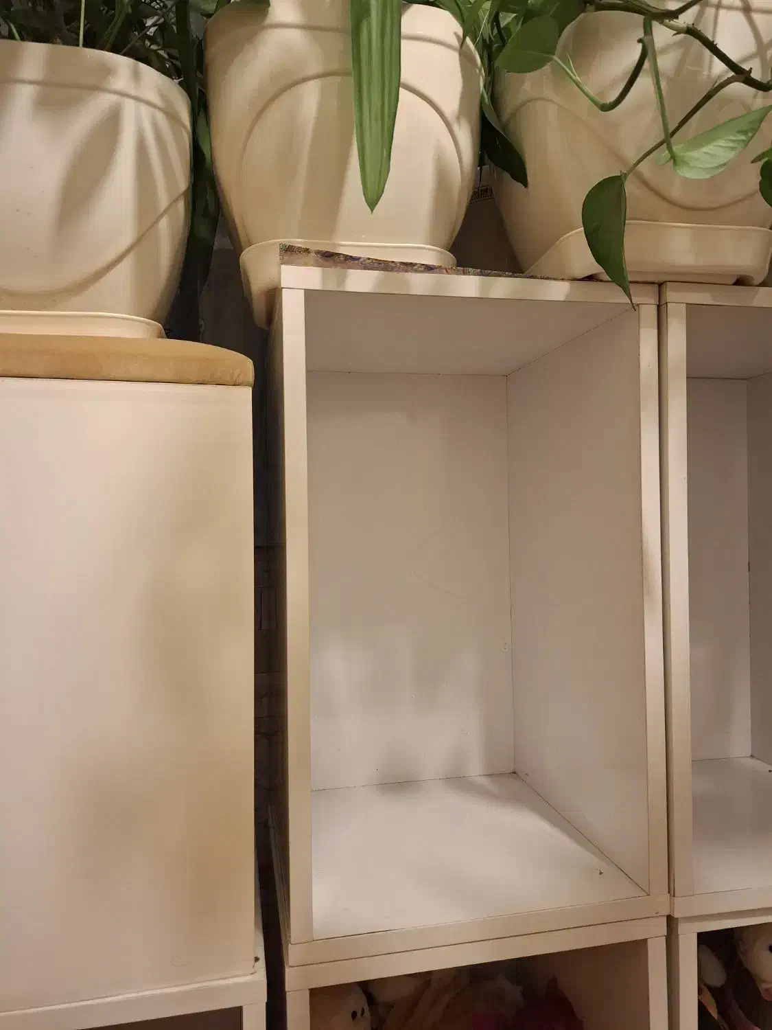 باکس یا دکور|کتابخانه، شلف، قفسههای دیواری|تهران, ابوذر|دیوار