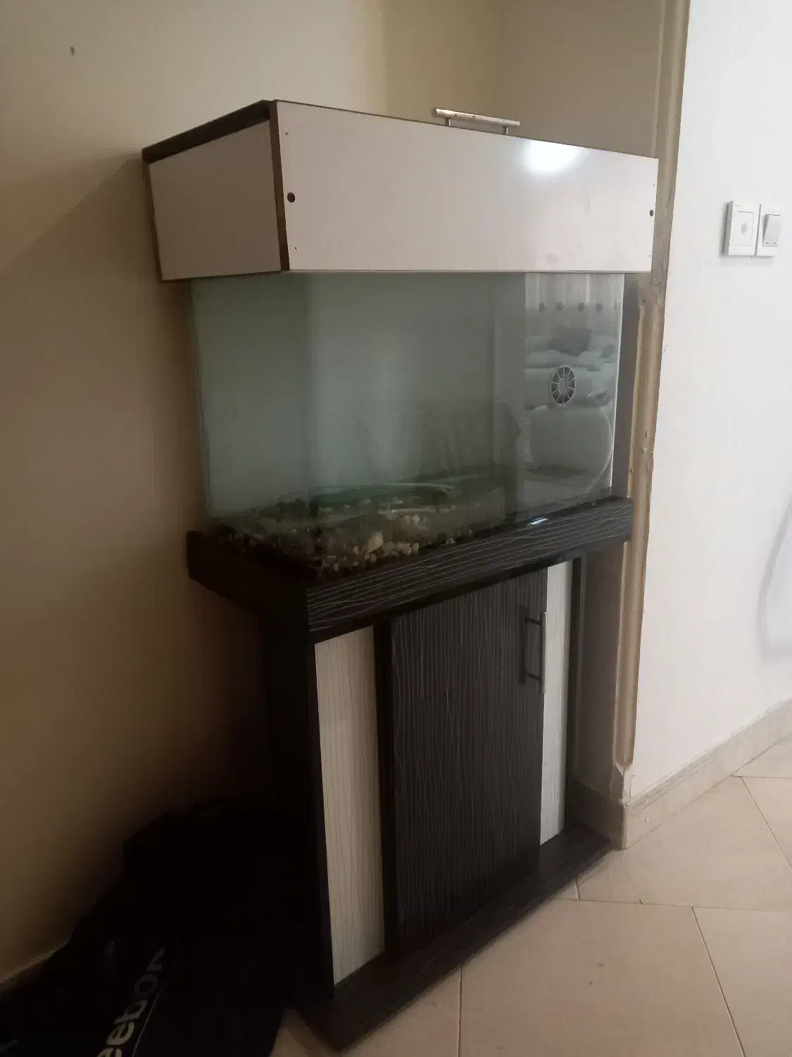 آکواریوم ۶۰ * ۵۰|ماهیگیری|کرج, دهقان ویلا|دیوار