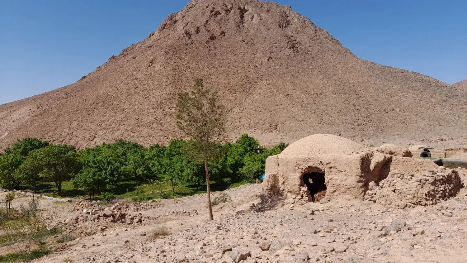 مزرعه|فروش زمین و ملک کلنگی|اردکان, |دیوار