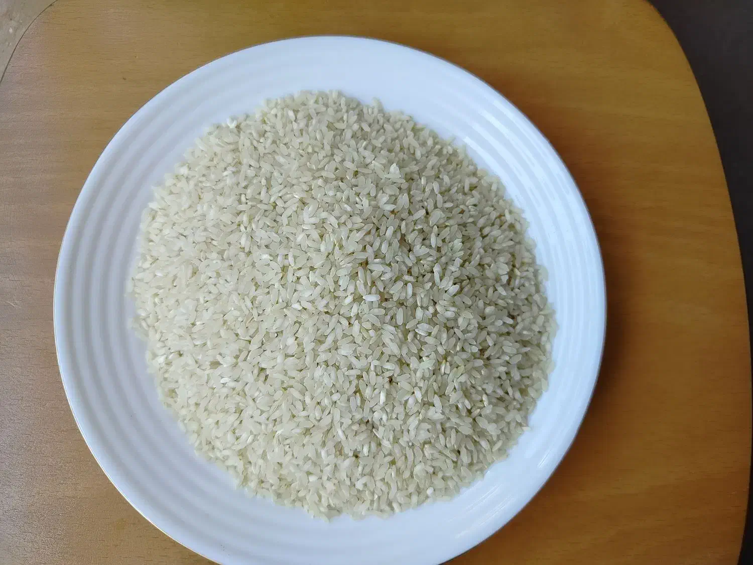 برنج کامفیروزی چمپا اصل و نیم دانه به شرط پخت|خوردنی و آشامیدنی|شیراز, آبیاری|دیوار