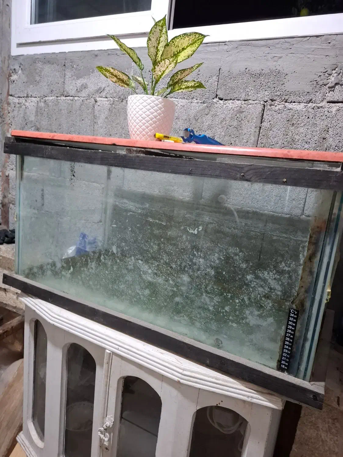 آکواریوم بزرگ|ماهی|رامسر, |دیوار