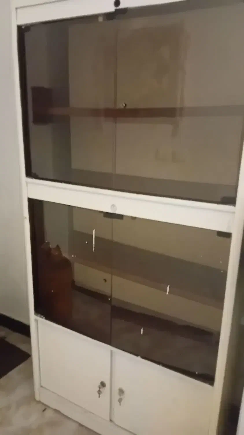 کمد|کتابخانه، شلف، قفسه‌های دیواری|بندرعباس, |دیوار