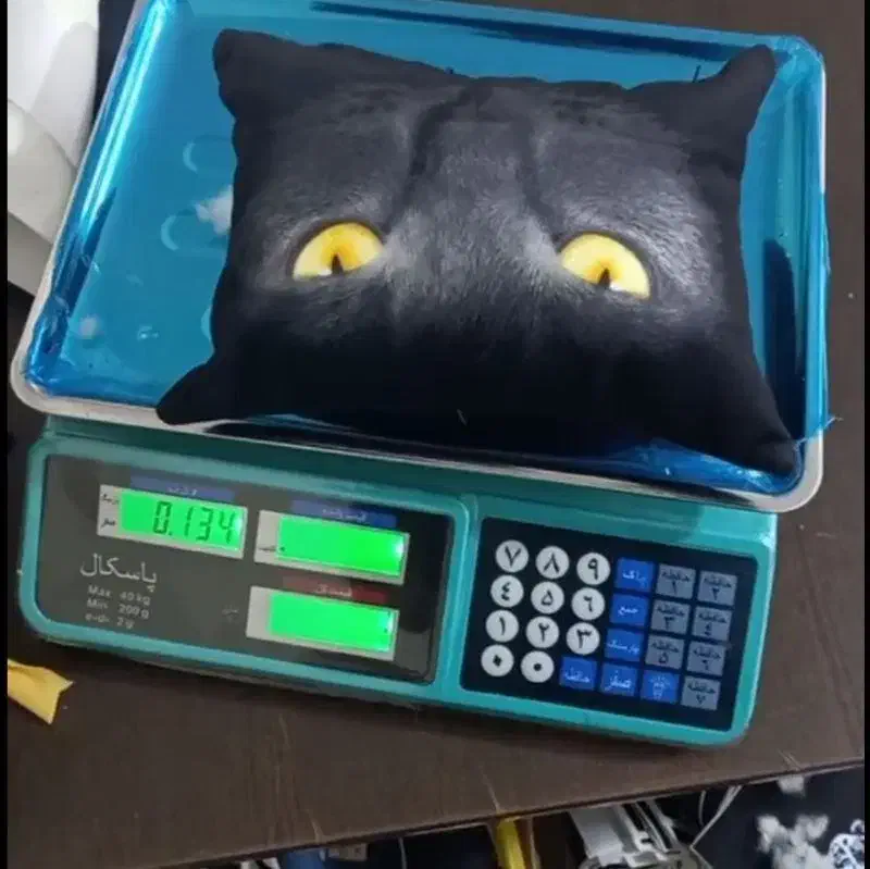 پولم رو بالا کشیدن توی دیوار|فعالیت داوطلبانه|بروجرد, |دیوار