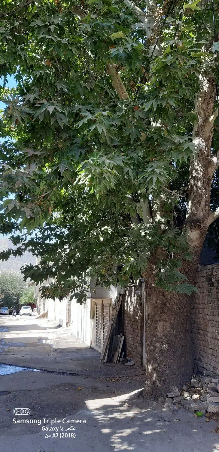 منزل مسکونی نیمه ساز کوی آبشار زمین‌ کلنگی|فروش خانه و ویلا|خرم‌آباد, |دیوار