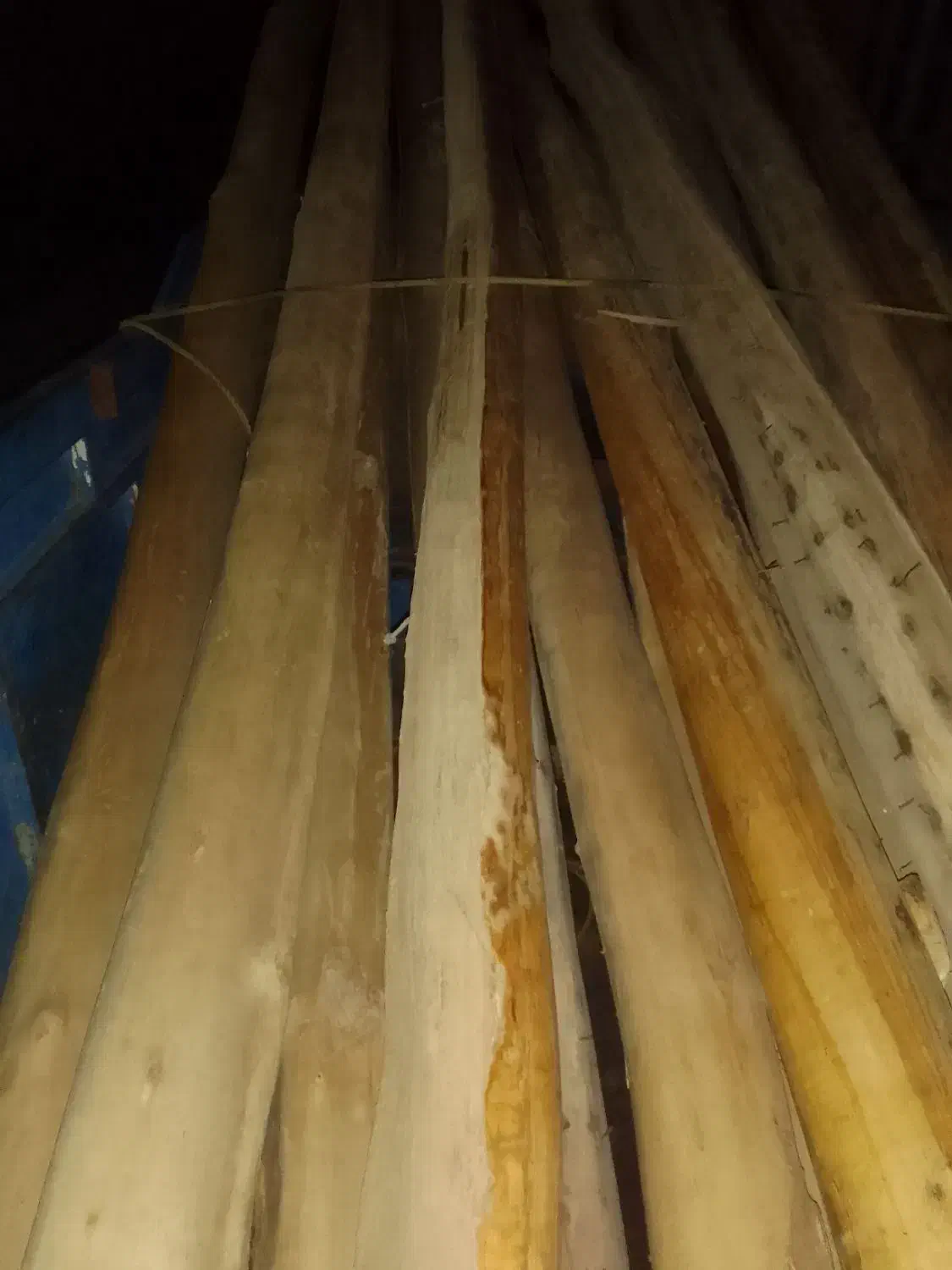 خرید چوب خشک و ضایعات باغی|خدمات باغبانی و درختکاری|مراغه, |دیوار