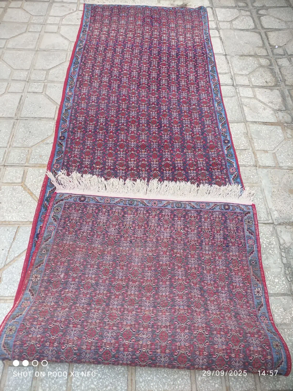 قالی دستبافت درابعادمختلف|فرش|کرمانشاه, |دیوار