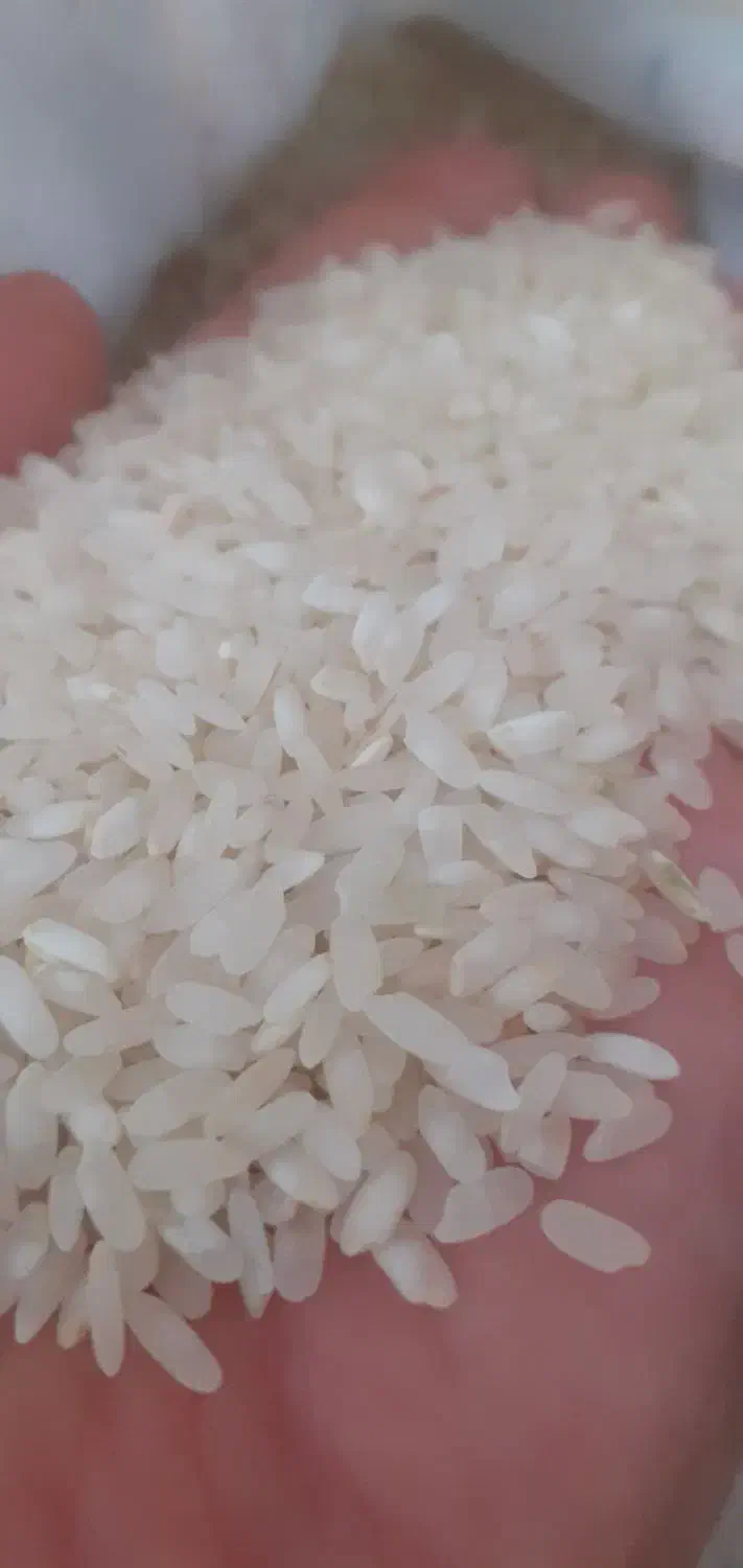 برنج|خوردنی و آشامیدنی|مرودشت, ثبت احوال|دیوار