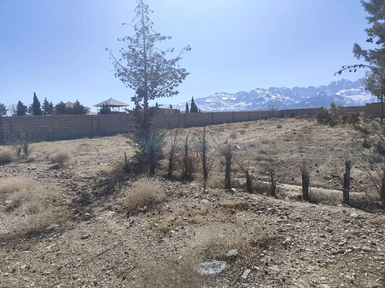 زمین هفت باغ|فروش زمین و ملک کلنگی|ماهان, |دیوار