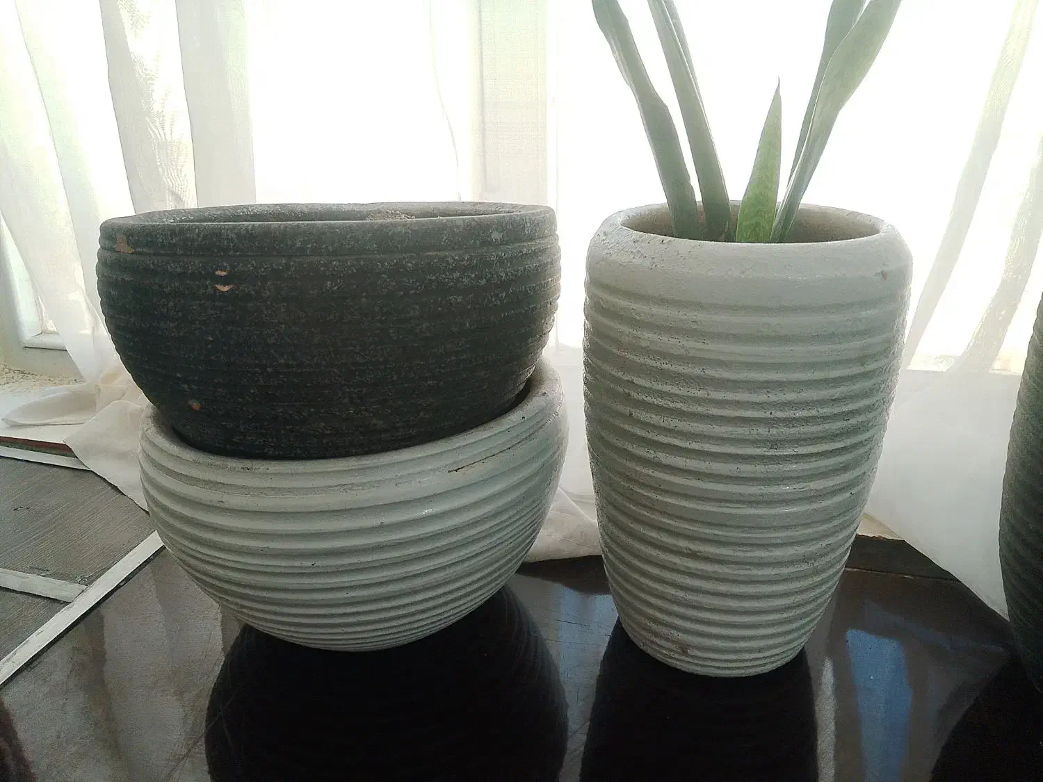 گلدان سفالی|گل و گیاه طبیعی|بومهن, |دیوار