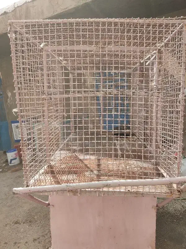 گاری|فروشگاه و مغازه|خاش, |دیوار