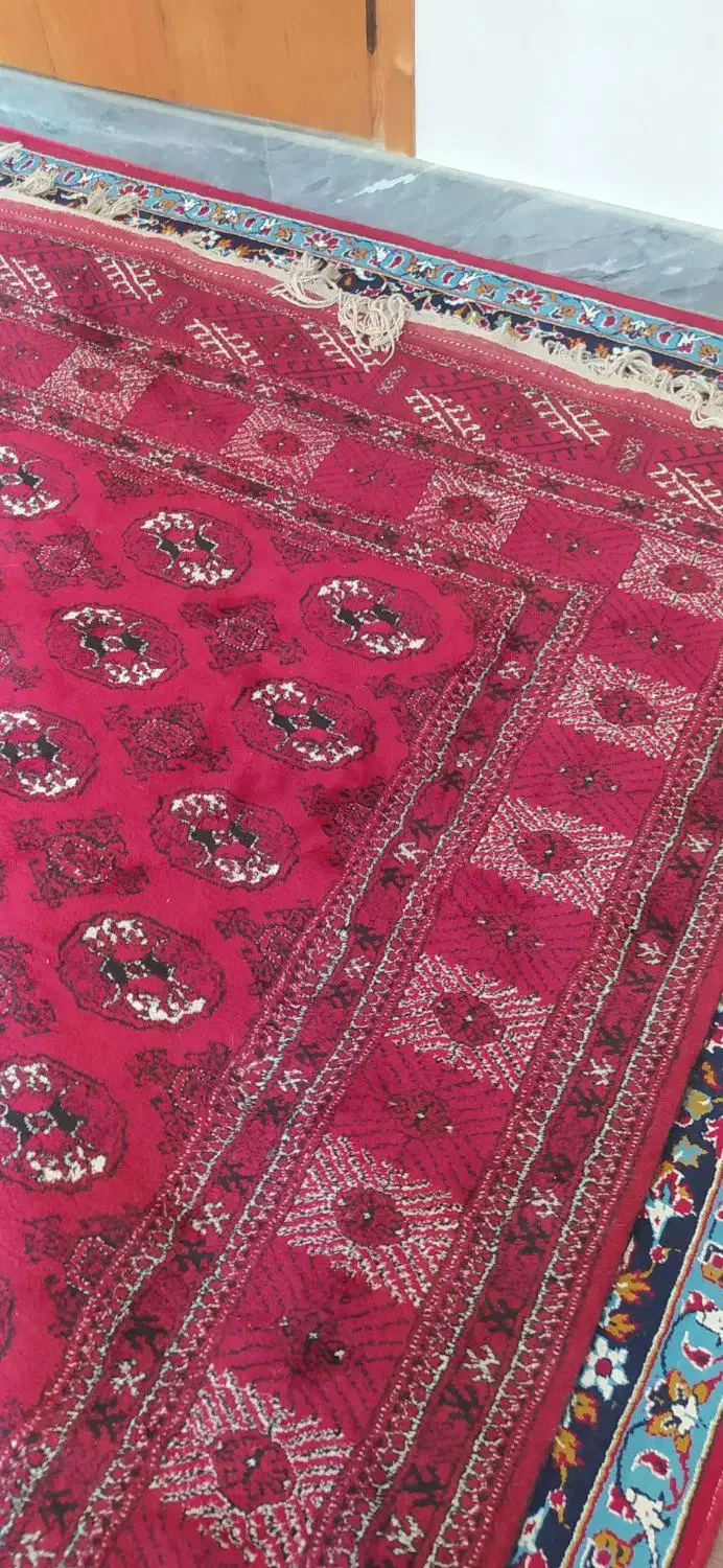 فرش دستباف|فرش|گنبد کاووس, |دیوار