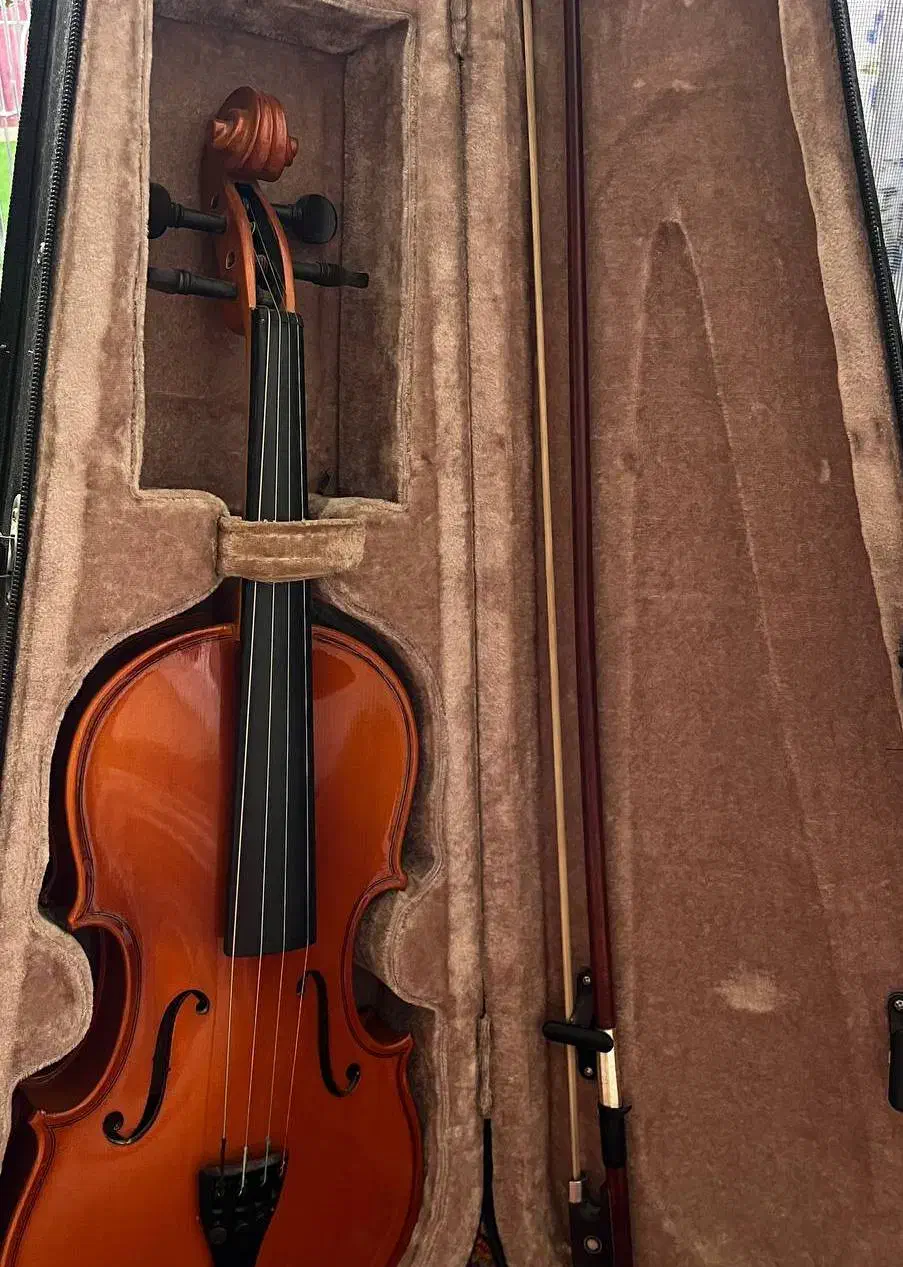 ویولن Student Model با کاور|ویولن|الوند, |دیوار