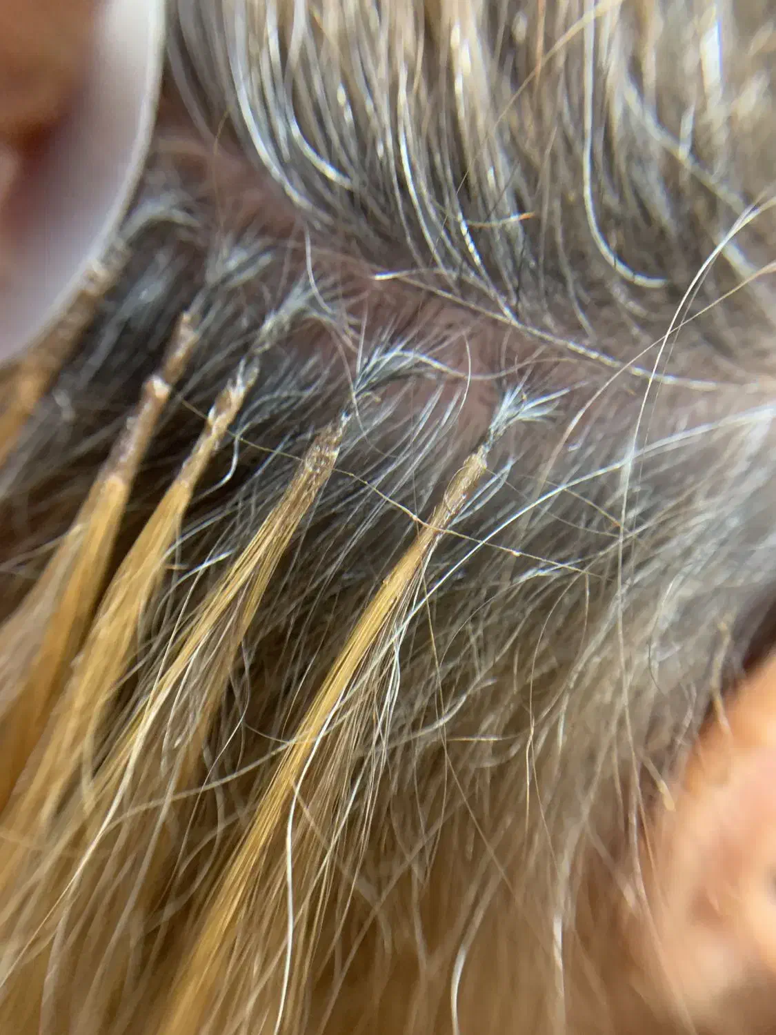 آموزش و خدمات اکستنشن مو و براشینگ مو|خدمات آموزشی|تهران, میرداماد|دیوار