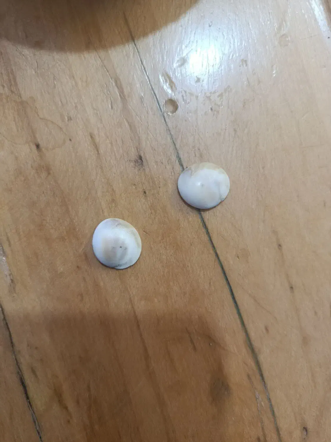 مهرع|بدلیجات|تربت‌حیدریه, کوه سنگی|دیوار