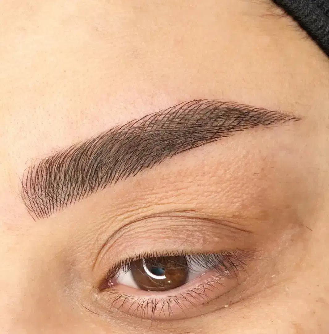 فیبروز ، شیدلب ، کاور تاتو قدیمی ، ریموو ابرو|خدمات آرایشگری و زیبایی|شیراز, شهرک سراج‎|دیوار