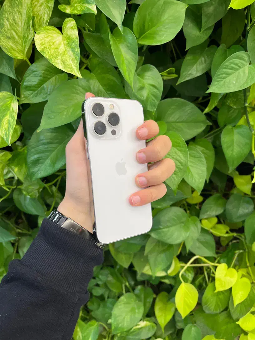 اپل ۱۳ پرو ، فوق العاده تمیز و به صرفه|موبایل|نجفآباد, هفده شهریور|دیوار