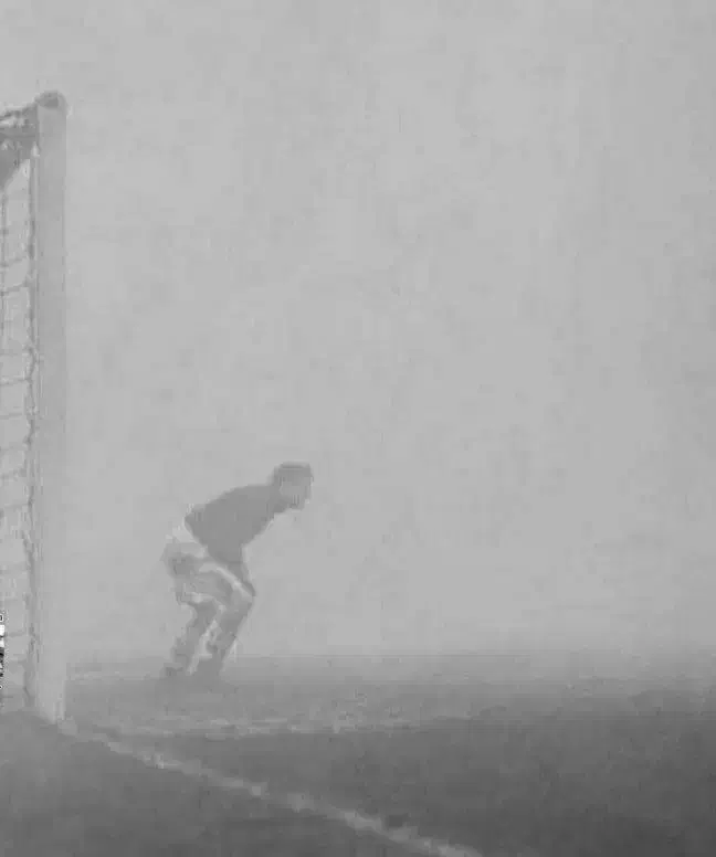 همراه زندگی|فعالیت داوطلبانه|لواسان, |دیوار