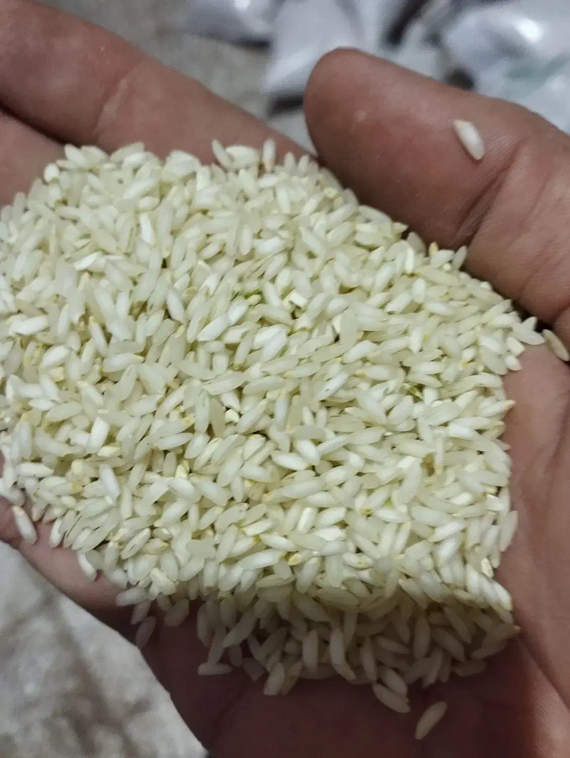 برنج و نیم دانه درشت عنبربو شوشتر|عمده‌فروشی|کارون, |دیوار