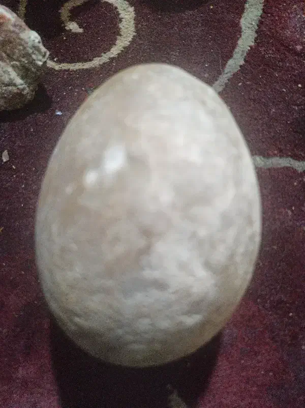 توپی عقیق|جواهرات|قوچان, |دیوار