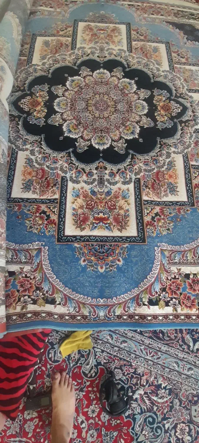 فرش  ۱۲متری|فرش|یاسوج, |دیوار