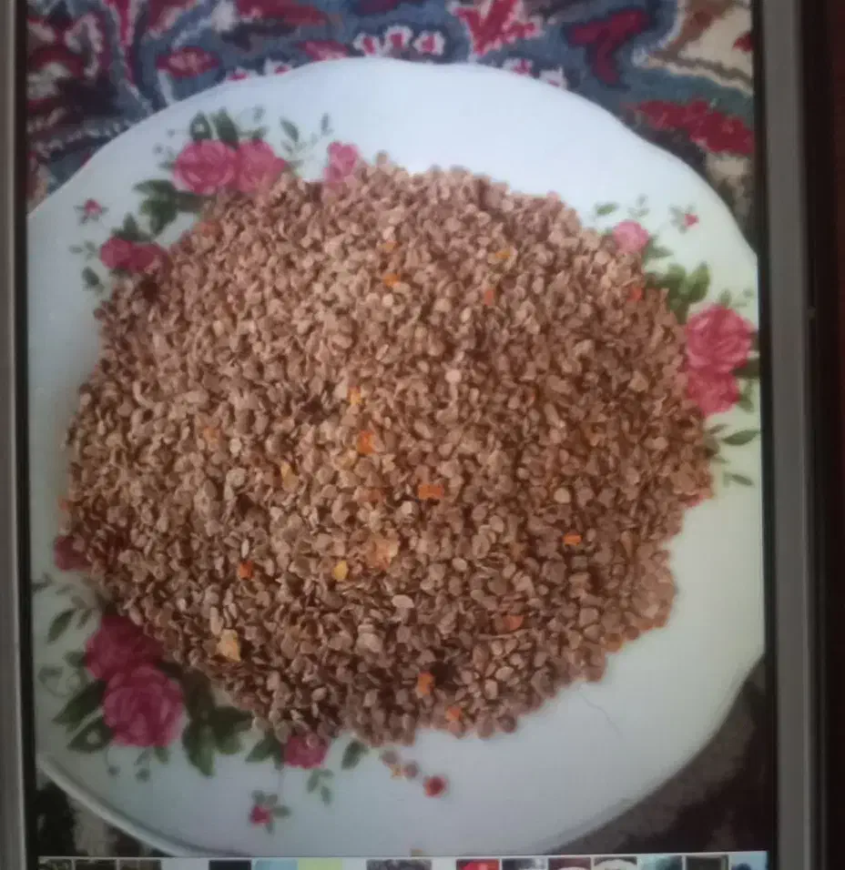 بذزگوجه|گل و گیاه طبیعی|اصفهان, ارداجی|دیوار