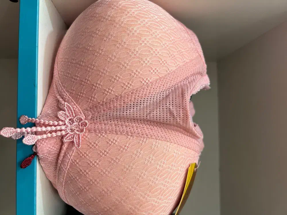 لباس زیر|لباس|قم, شاه سید علی|دیوار