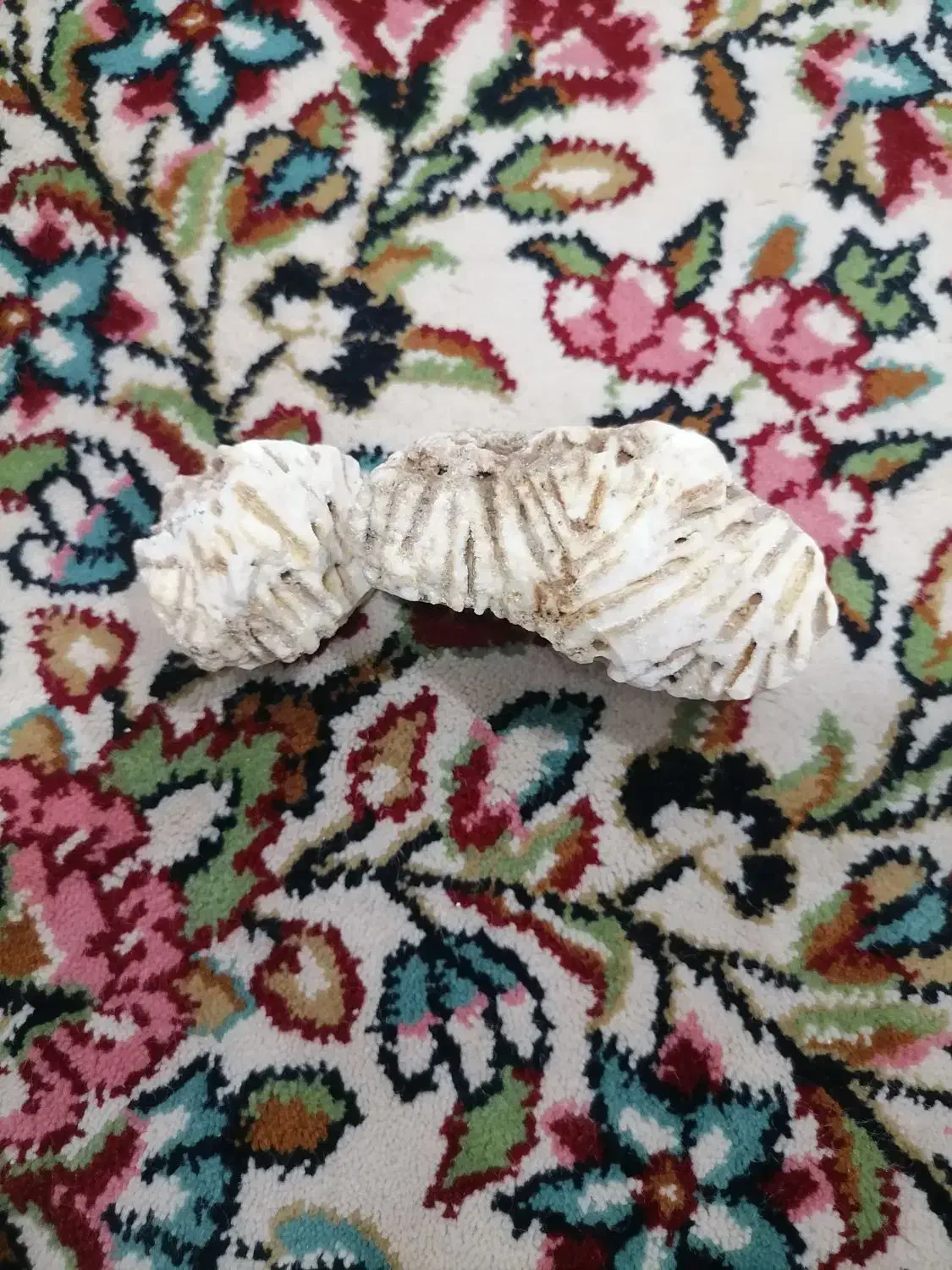 سنگ قیمتی|جواهرات|جیرفت, |دیوار