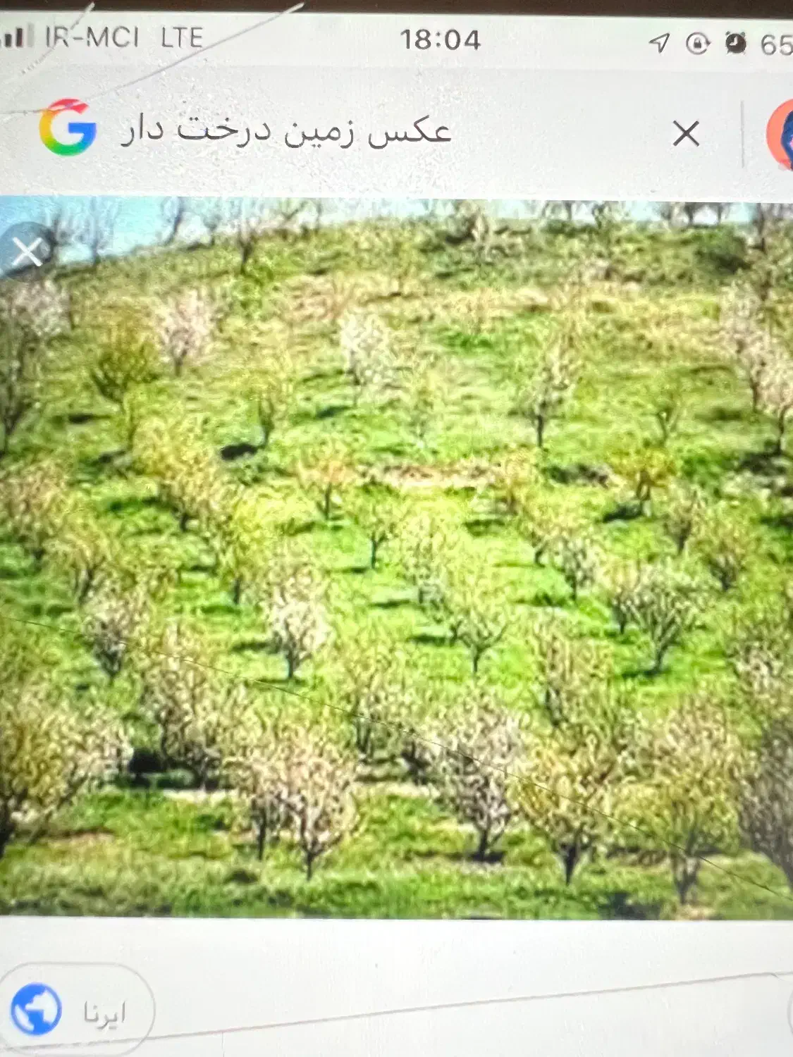 زمین ۲۵۰۰متری فریدون شهر|فروش زمین و ملک کلنگی|فریدونشهر, |دیوار