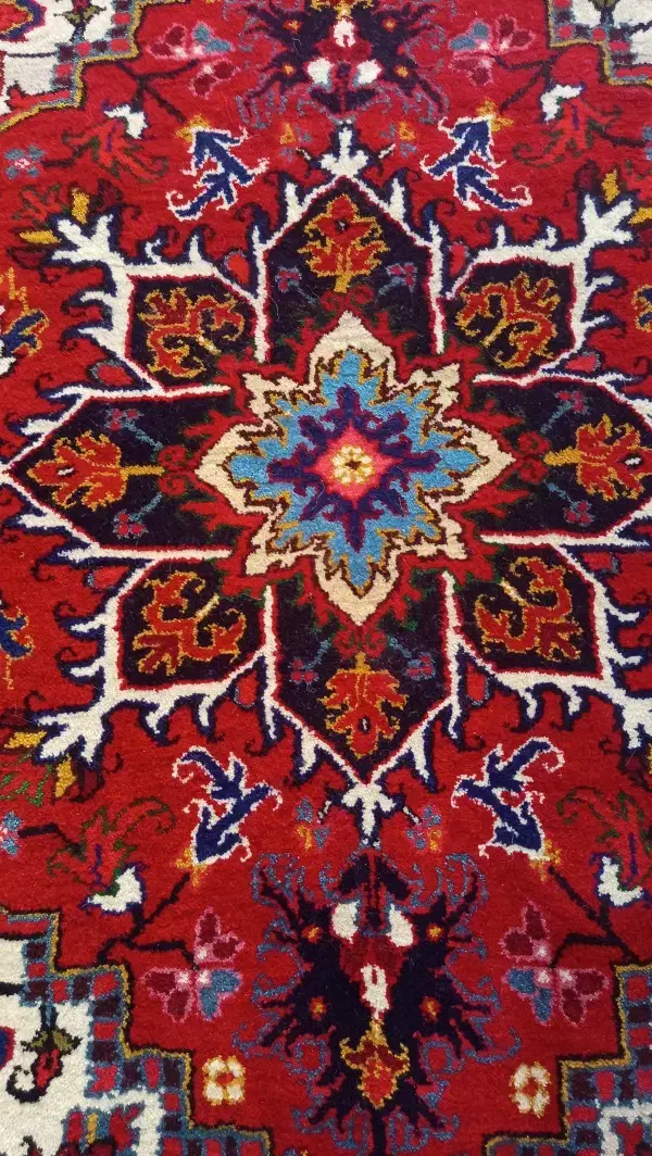 فرش زرنیم|فرش|سهند, |دیوار