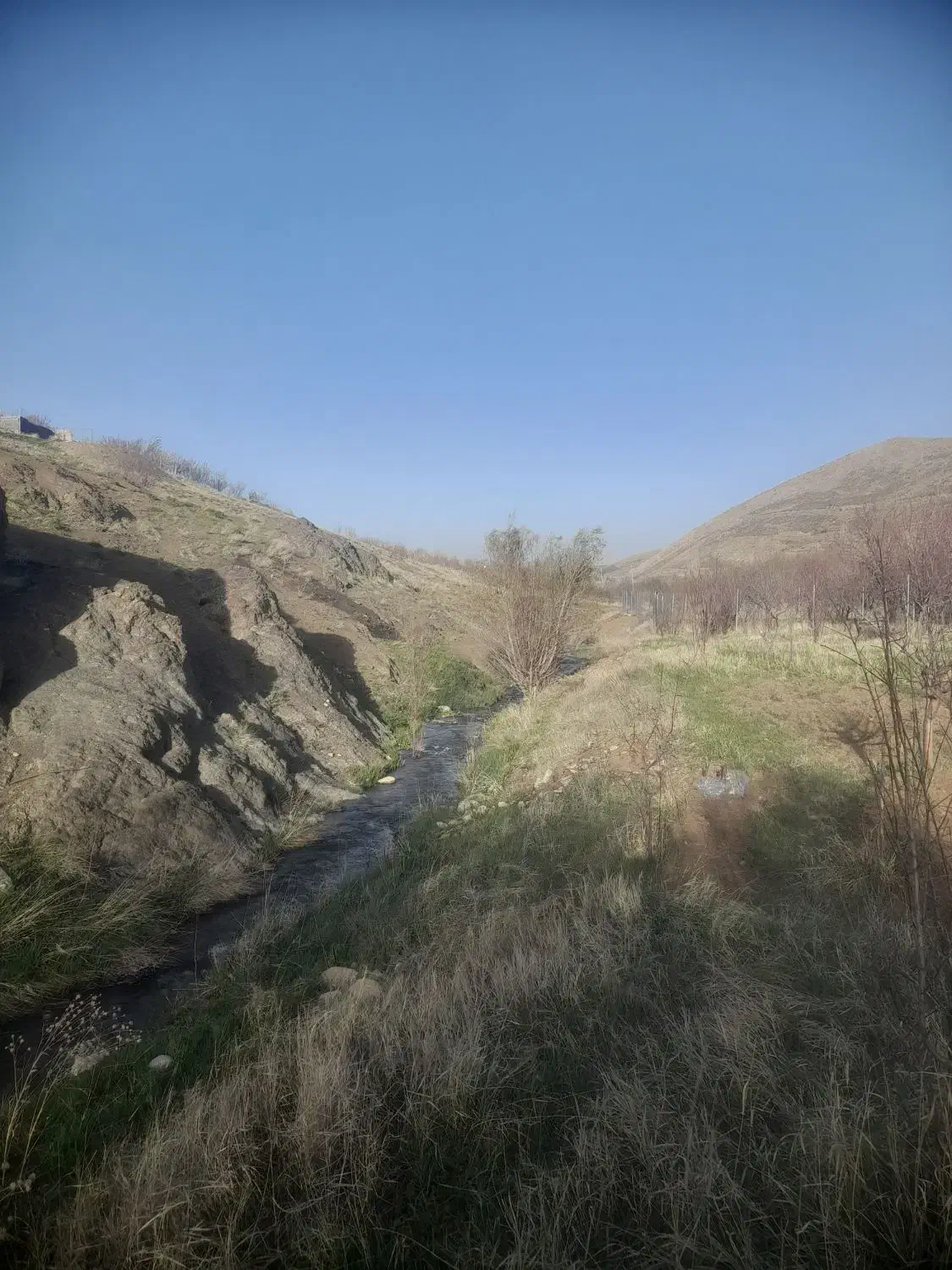 فروش زمین باغی|فروش زمین و ملک کلنگی|فریدونشهر, |دیوار