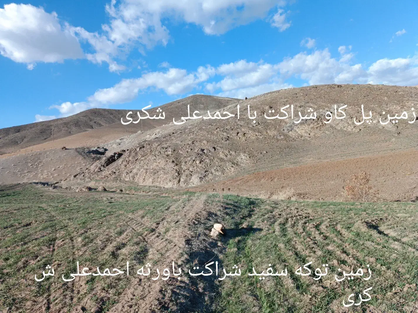 یک لنگ یافردزمین کشاورزی درعمارت شهرستان صحنه|فروش دفتر صنعتی، کشاورزی، تجاری|بیستون, |دیوار