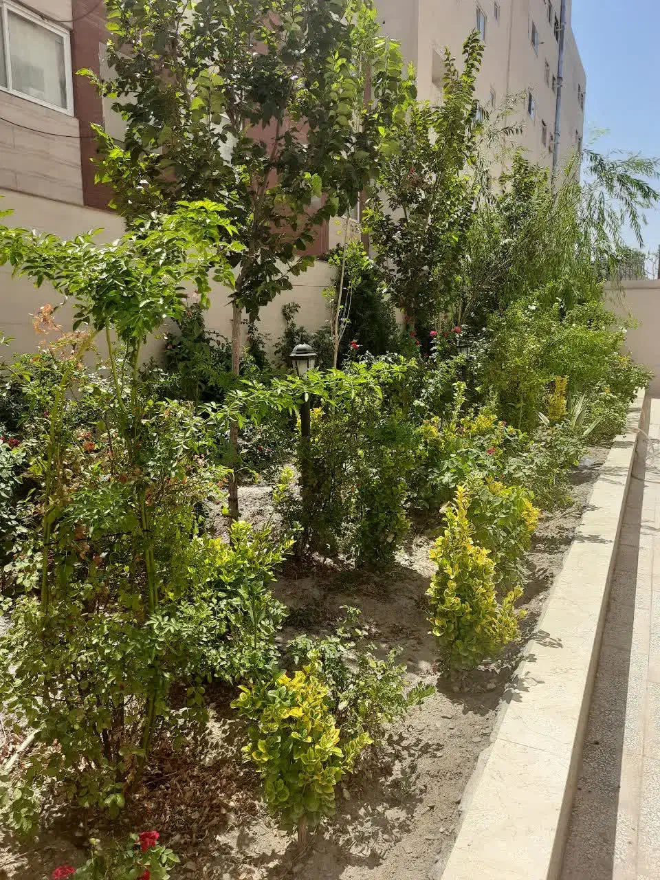 137متر محمدیه|فروش آپارتمان|مشهد, الهیه|دیوار