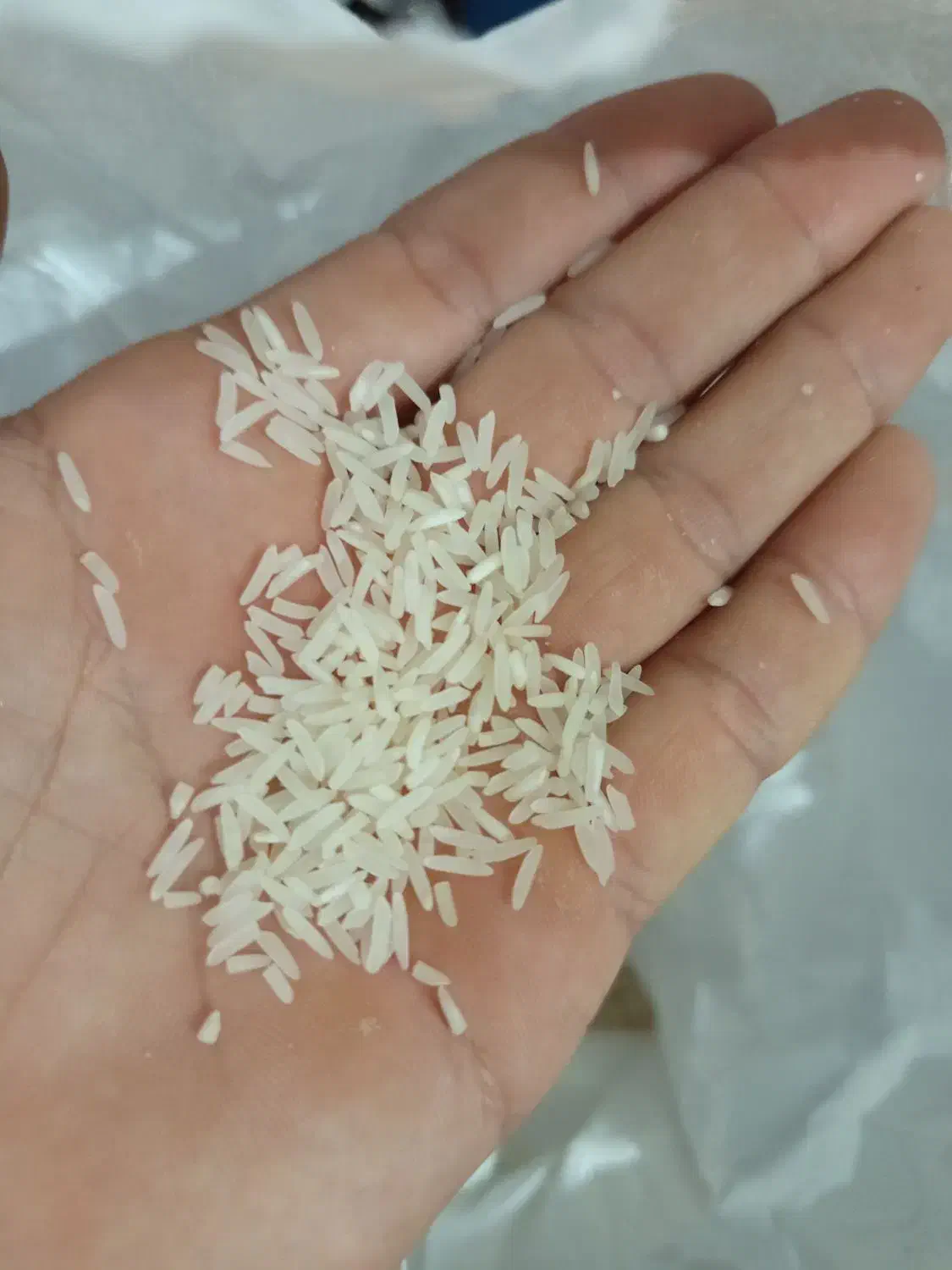 برنج فجر 90روزه|خوردنی و آشامیدنی|خان ببین, |دیوار