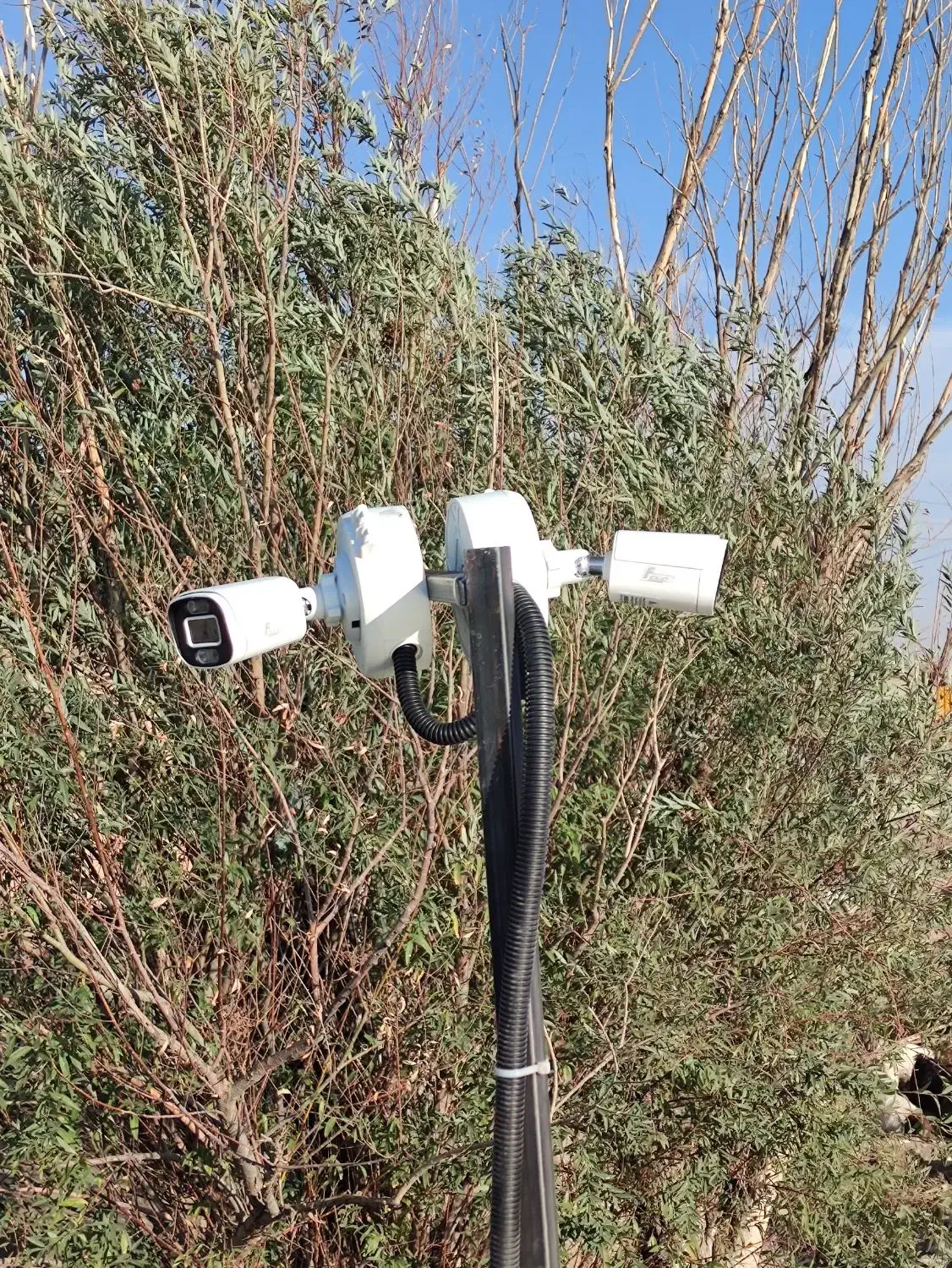 دزدگیر و دوربین مدار بسته|خدمات پیشه و مهارت|هرسین, |دیوار