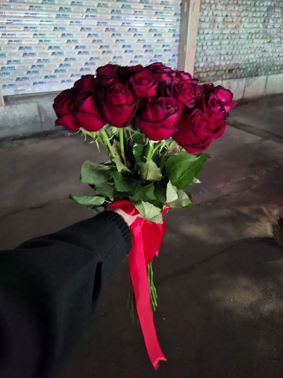 گل رز ۳۰ شاخه|گل و گیاه طبیعی|مشهد, رضاییه|دیوار