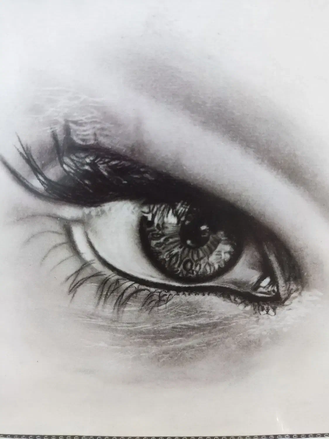 آموزش طراحی و نقاشی|خدمات آموزشی|اسلام‌شهر, باغ فیض|دیوار