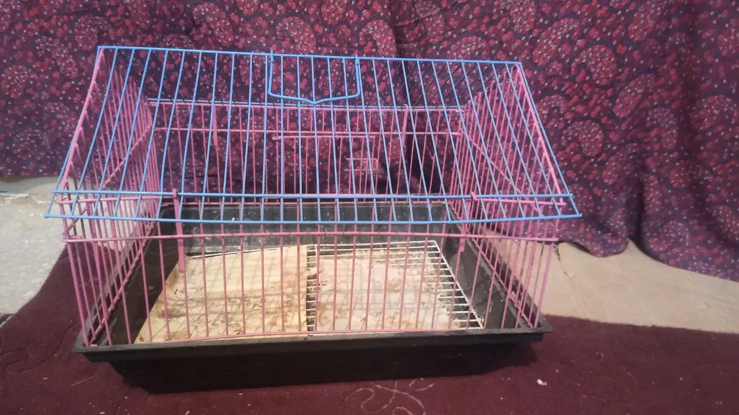 قفس|لوازم جانبی حیوانات|قزوین, |دیوار