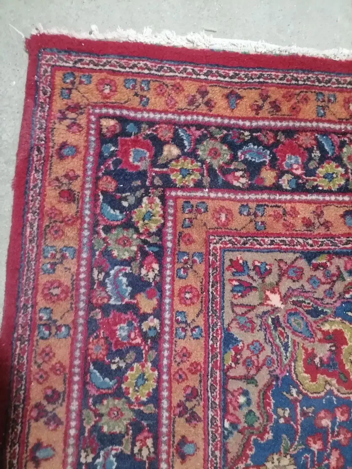 فرش دست بافت 6 متری|فرش|مشهد, خواجه ربیع|دیوار