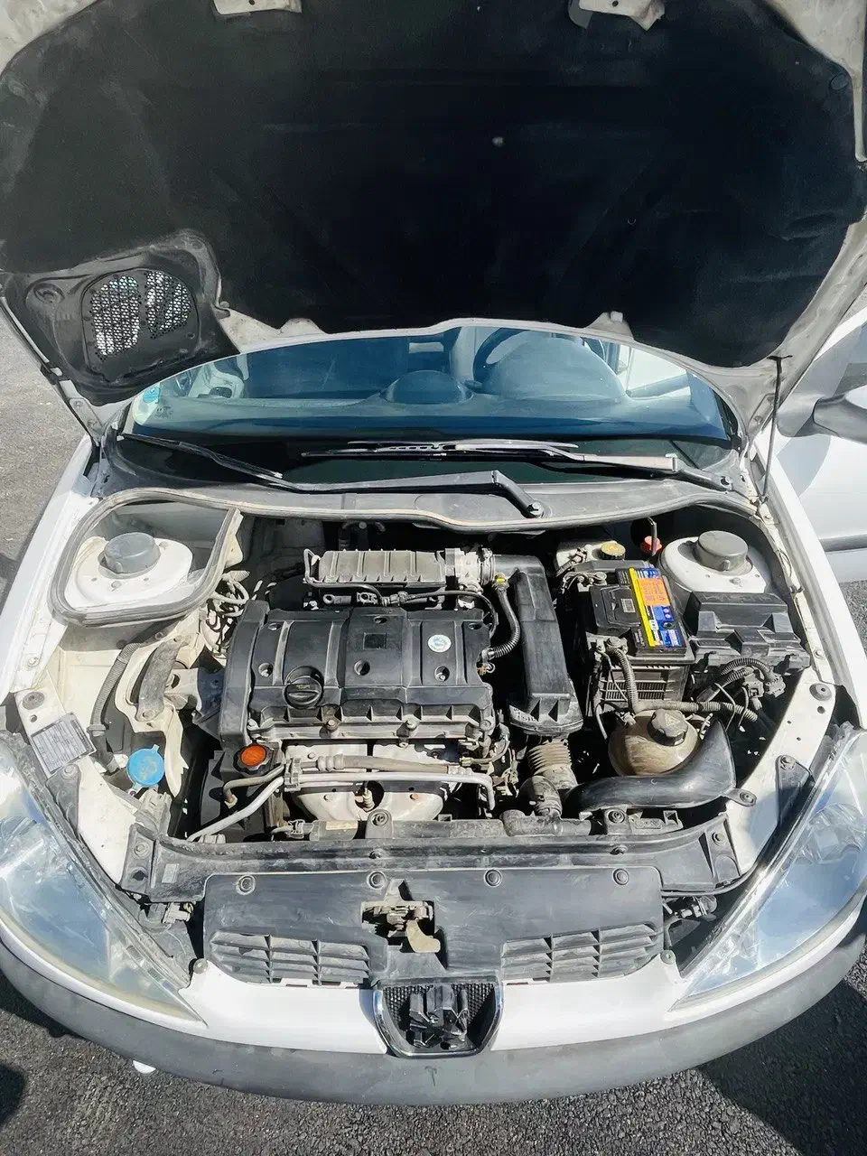 پژو ۲۰۶ تیپ پنج tu5 بی رنگ|خودرو سواری و وانت|زنجان, |دیوار