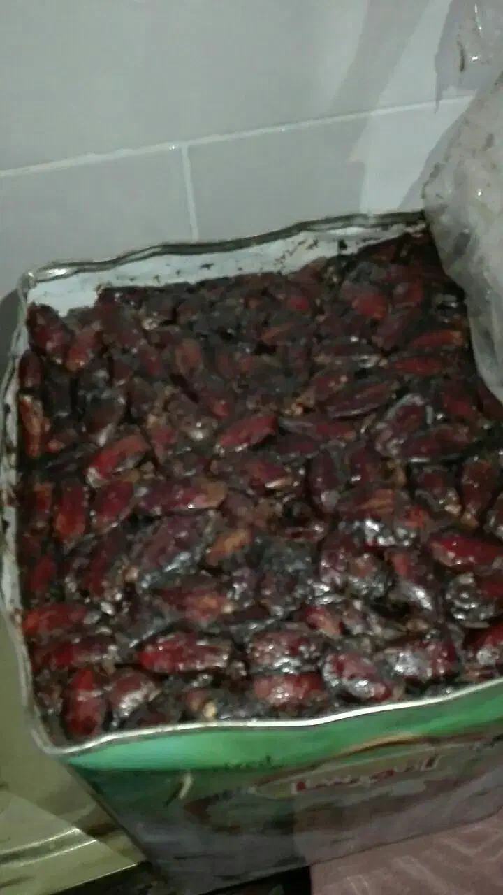 خرما شاهانی|خوردنی و آشامیدنی|سیرجان, |دیوار