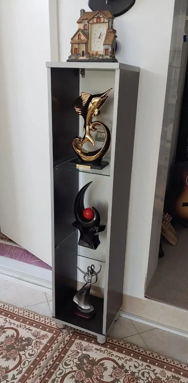 پایه دکوری|کتابخانه، شلف، قفسه‌های دیواری|نیشابور, پاستور|دیوار