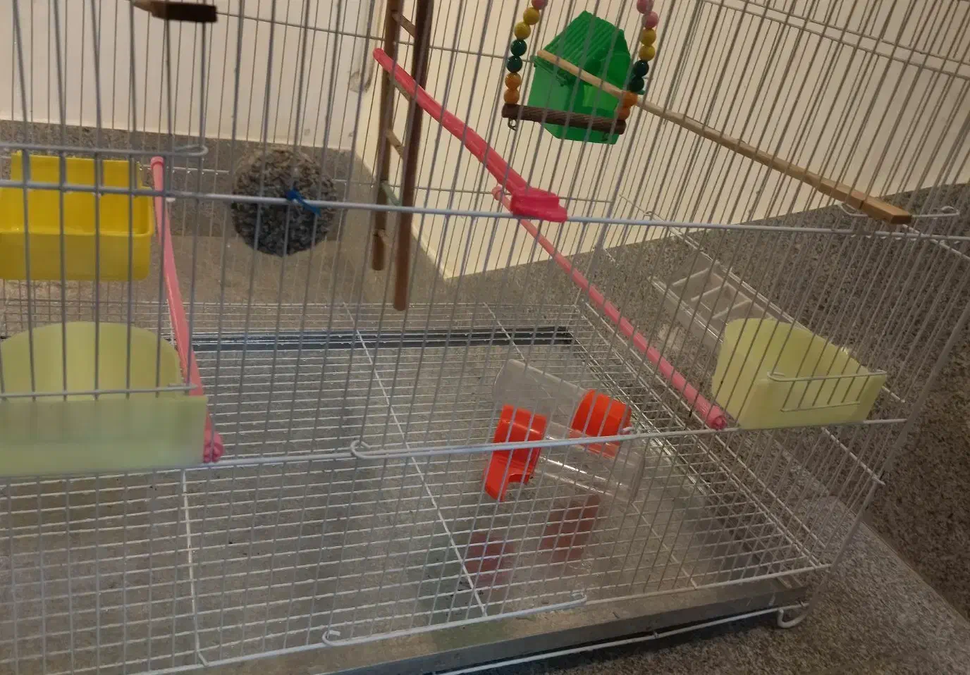 قفس پرنده|لوازم جانبی حیوانات|فردوس (خراسان), |دیوار