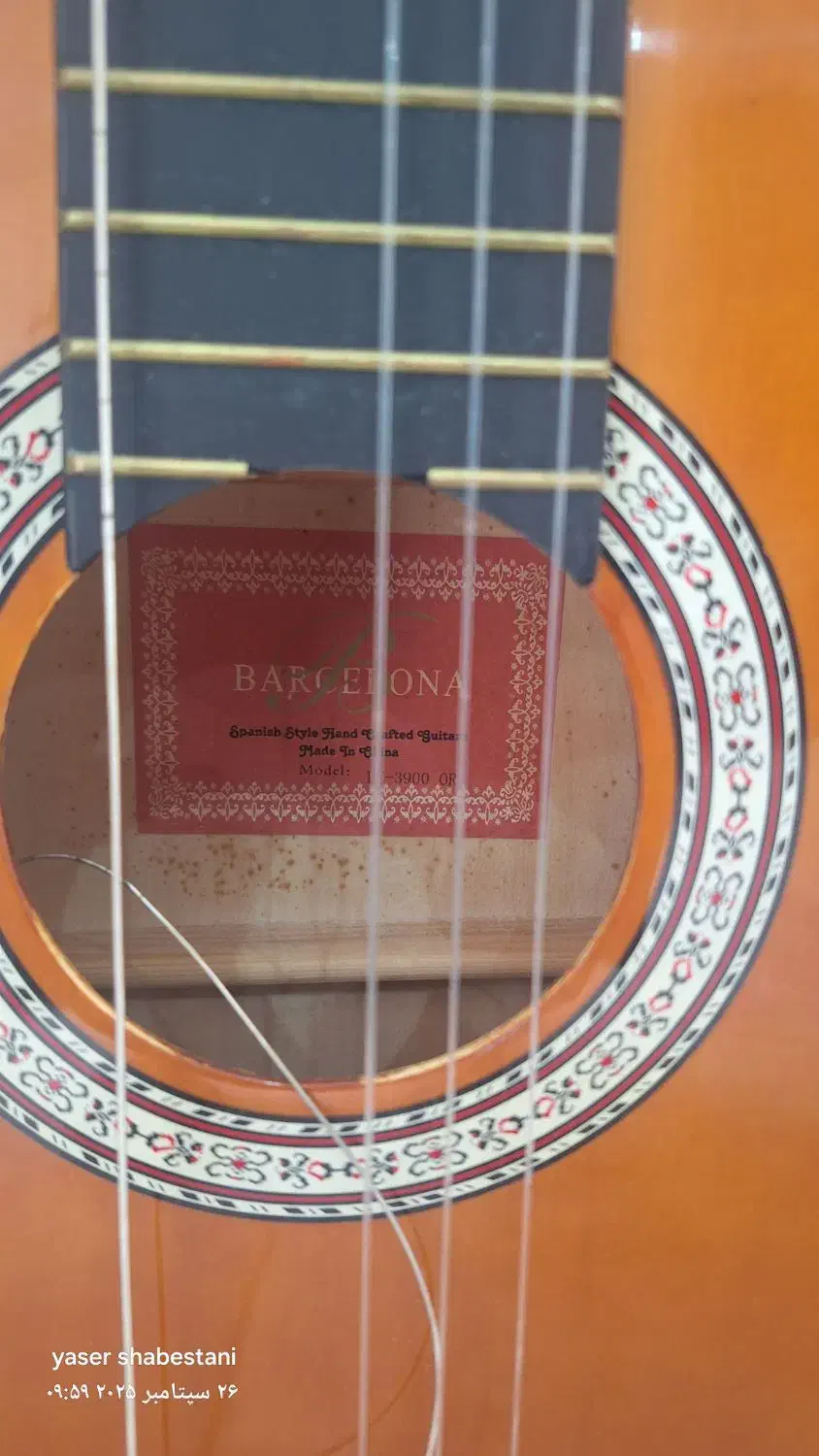 گیتار بارسلونا و مایا|گیتار، بیس، امپلیفایر|دامغان, |دیوار