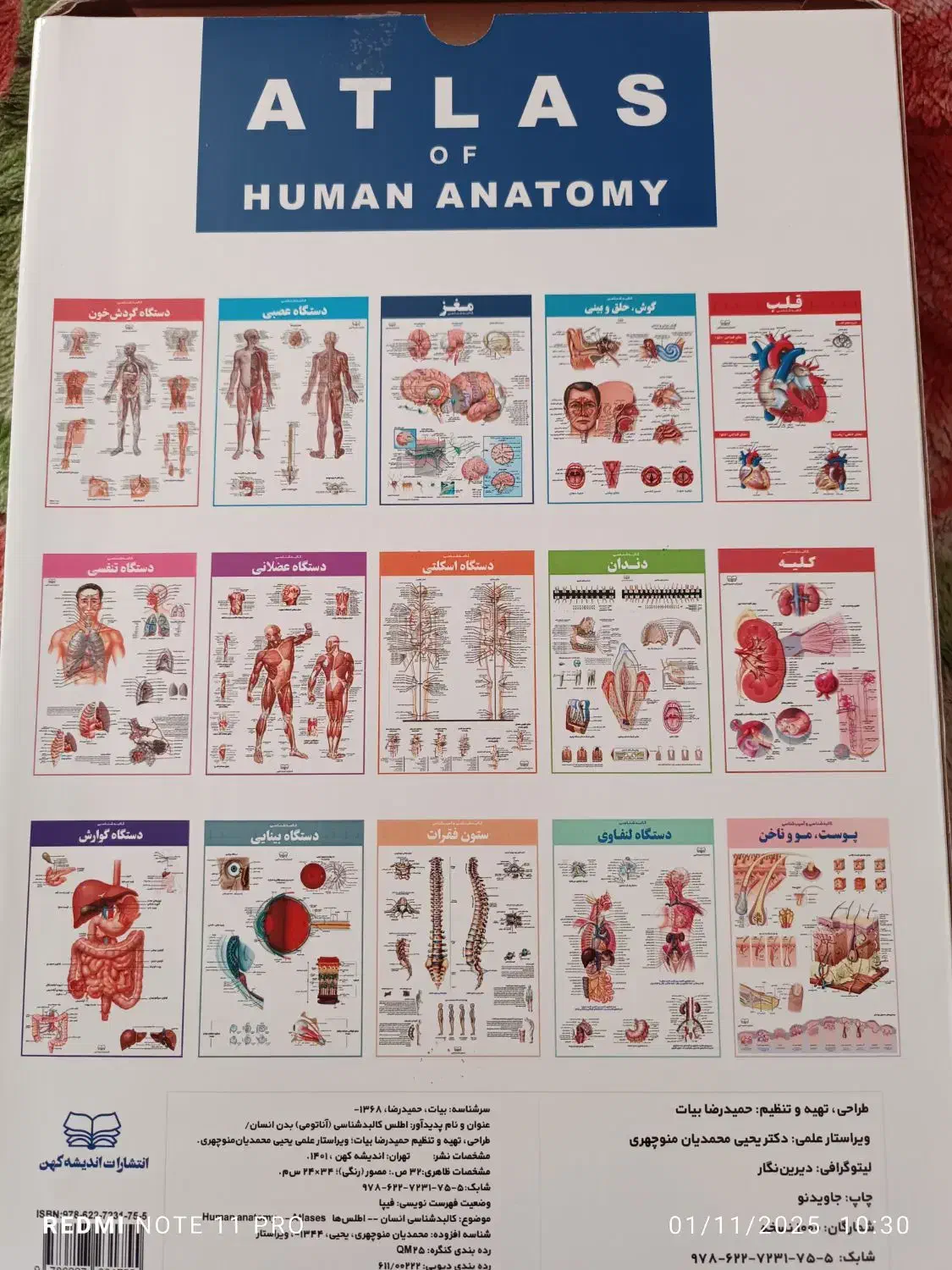 کالبد شناسی آناتومی بدن انسان علوم ورزشی پزشکی|کتاب و مجله آموزشی|مشهد, جانباز|دیوار